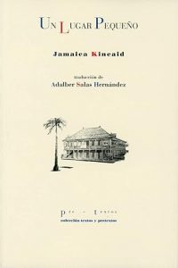 Un lugar pequeño libro