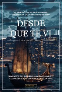 Desde que te vi libro