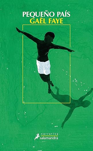 Pequeño país libro