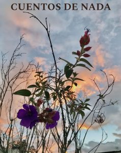 cuentos de nada libro