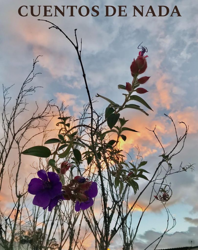 cuentos de nada libro